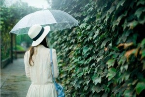 [星力平台]北京出轨调查：男子举报妻子身为教师婚内出轨，网贷几十万进行赌博？教育局回应